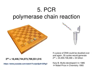 PCR: Applications, Principles, and Procedure
