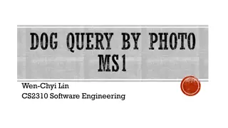 Implementing Dog Query by Photo System for Pet Care and Lost Dog Recovery