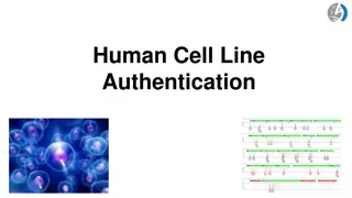 Cell Line Authentication: Importance, Challenges, and Solutions
