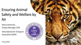 Ensuring Animal Safety and Welfare by Air: Insights from IATA Project Manager