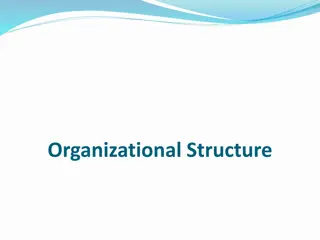 Organizational Structures and Their Advantages