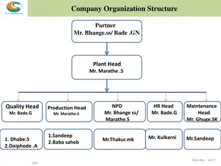 Organizational Structure of a Company with Partners and Department Heads