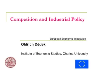 European Economic Integration: Competition and Industrial Policy Insights