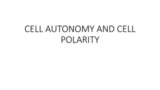 Cell Autonomy and Cell Polarity