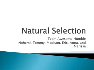 Genetic Traits and Evolutionary Adaptations Activity for Students