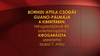 Rare Coccothrinax Borhidiana Palm Species - Endangered Beauty in Cuba