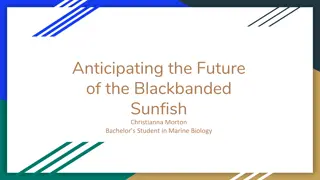 Future Prospects for Blackbanded Sunfish Conservation Efforts