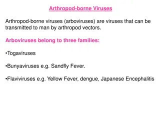 Arboviruses and Their Impact