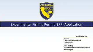 Exploring Sub Sea Sonics EFP Application and Proposed Fishing Systems