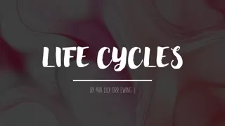 Life Cycles in Nature