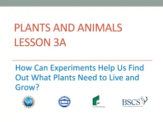 Discovering Plant Needs Through Scientific Experiments