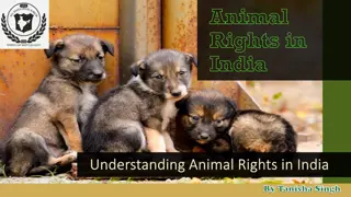 Animal Rights in India - Cases, Laws, and Progress