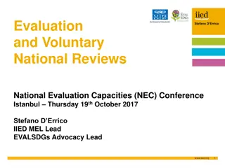 Insights on Evaluation and Voluntary National Reviews by Stefano D Errico