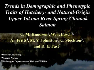 Trends in Demographic and Phenotypic Traits of Upper Yakima River Spring Chinook Salmon