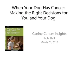 Canine Cancer: Diagnosis, Treatment, and Care Insights