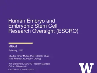 Importance of Stem Cell Research Funding
