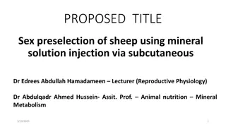 Sheep Sex Preselection Using Mineral Solution Injection