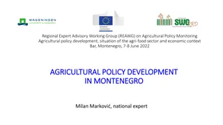 Agricultural Policy Development and Budgetary Support in Montenegro 2022