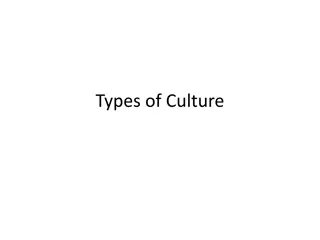 Types of Culture: General Classification & Popular Trends