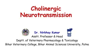 Cholinergic Neurotransmission in Veterinary Pharmacology