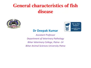Fish Diseases: Viral and Bacterial Causes
