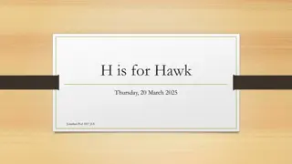 Insights into the Meeting with Two Hawks