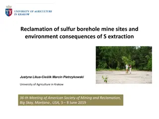 Reclamation of Sulfur Borehole Mine Sites and Environmental Consequences