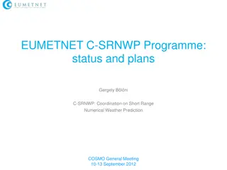 European Meteorological Coordination Activities Overview