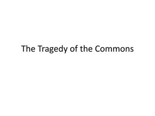 Global Environmental Challenges and the Tragedy of the Commons