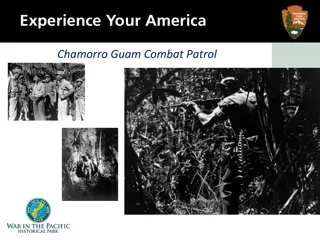 Chamorro Guam Combat Patrol Photographs and Analysis