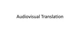 Insights into Audiovisual Translation Practices