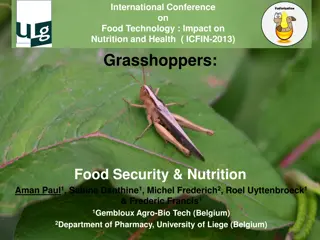 Grasshoppers as Edible Insects: Nutritional Benefits and Consumption Trends