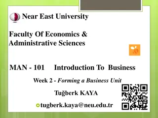 Types of Businesses and Business Units in Economics