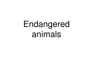 Protecting Endangered Animals: Urgent Conservation Efforts