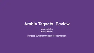 Arabic Language Tagsets in NLP Research