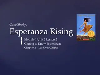 Esperanza's Journey in 