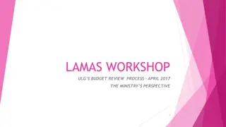 Urban Government Administration and Budget Review Process Insights