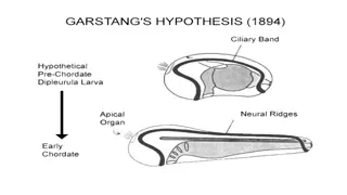Discovering Agnatha: The Jawless Fish Superclass
