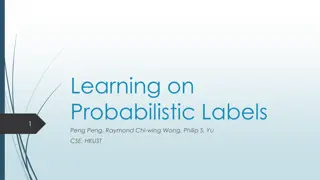Learning on Probabilistic Labels in Binary Classification