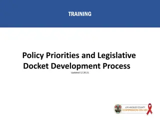 Public Policy: Priorities, Development Process, and Examples