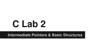 Pointers and Basic Structures in C Lab 2