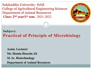 Practical Guide: Culture Media Preparation in Microbiology Lab