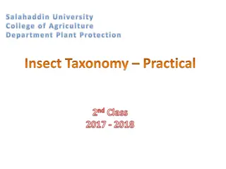 Insect Taxonomy: Classification of Orders in Agriculture Department