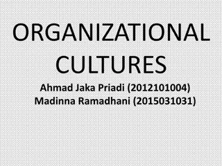 Deciphering Organizational Culture: Elements, Dimensions, and Subcultures