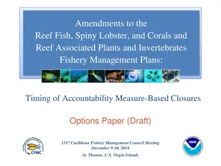 Caribbean Fishery Management Council Meeting 2014: Accountability Measures and Closure Options