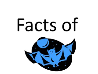 Origins and Traditions of Halloween