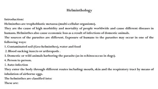 Helminthology: A Detailed Overview of Tapeworm Infections