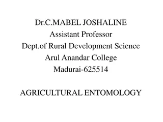 Agricultural Entomology: Pests and Diseases of Paddy Management