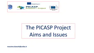 PICASP Project Aims and Issues Summary