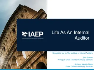 Internal Audit: Definition, Objectives, and Processes